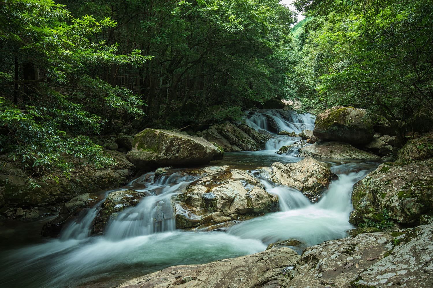 🏞️ 나메토코 계곡 (나메토코케이코쿠) 이미지 7